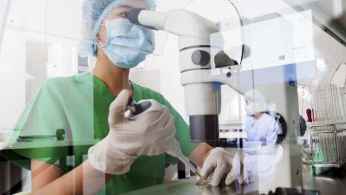 Rusia investiga posible caso de peste neumónica tras muerte de trabajadora de laboratorio